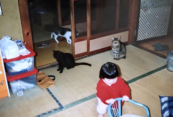 みさきと猫たち２_R.JPG