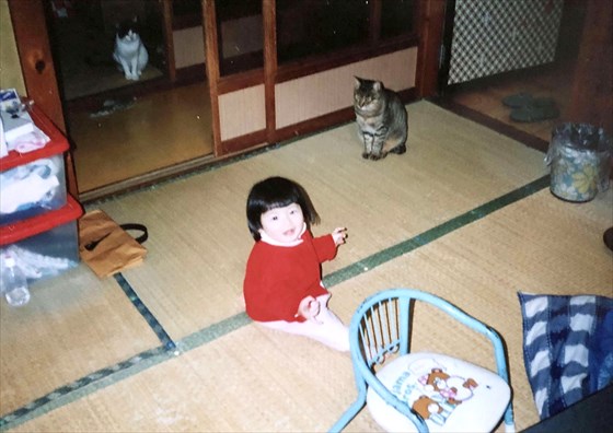 みさきと猫たち_R.JPG