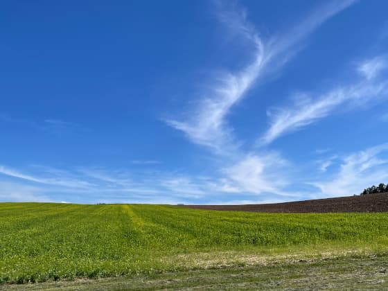 広い畑と雲.jpg