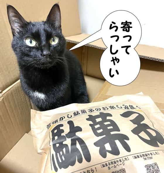 猫の駄菓子屋.jpg