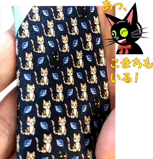 猫ネクタイとこまち.png