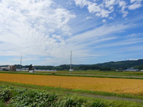 畑と青空.jpg