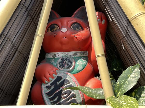 赤い招き猫.jpg