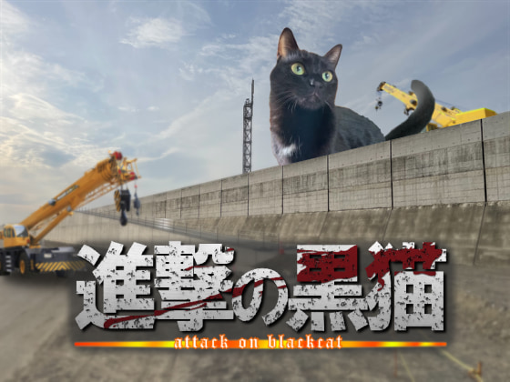 進撃の黒猫.jpg
