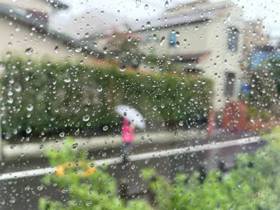 雨の窓.jpg
