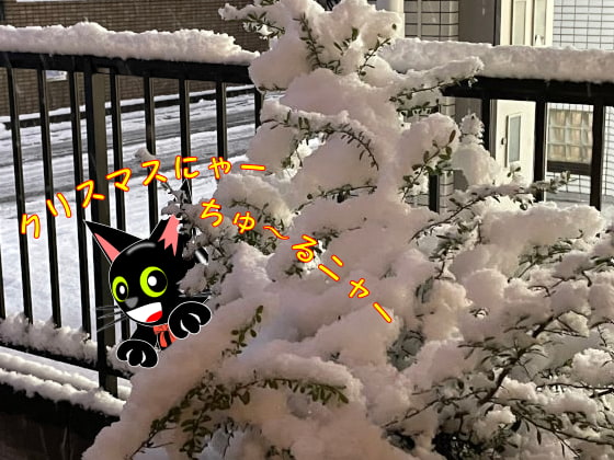 雪景色と黒猫２.jpg
