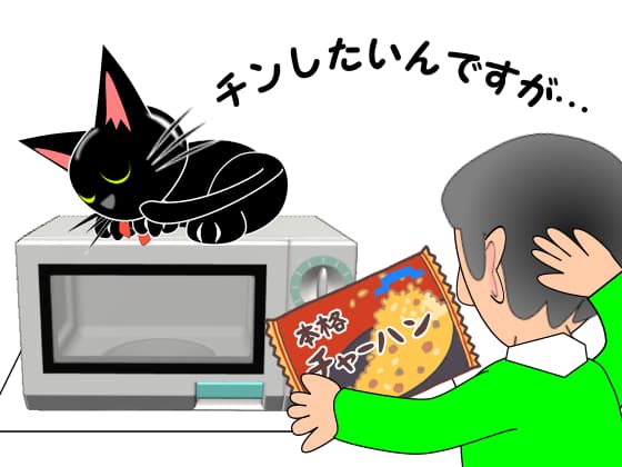 電子レンジに猫.jpg