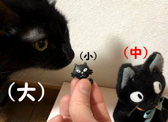 黒猫大中小.jpg